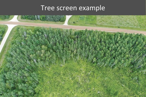 Tree screen example